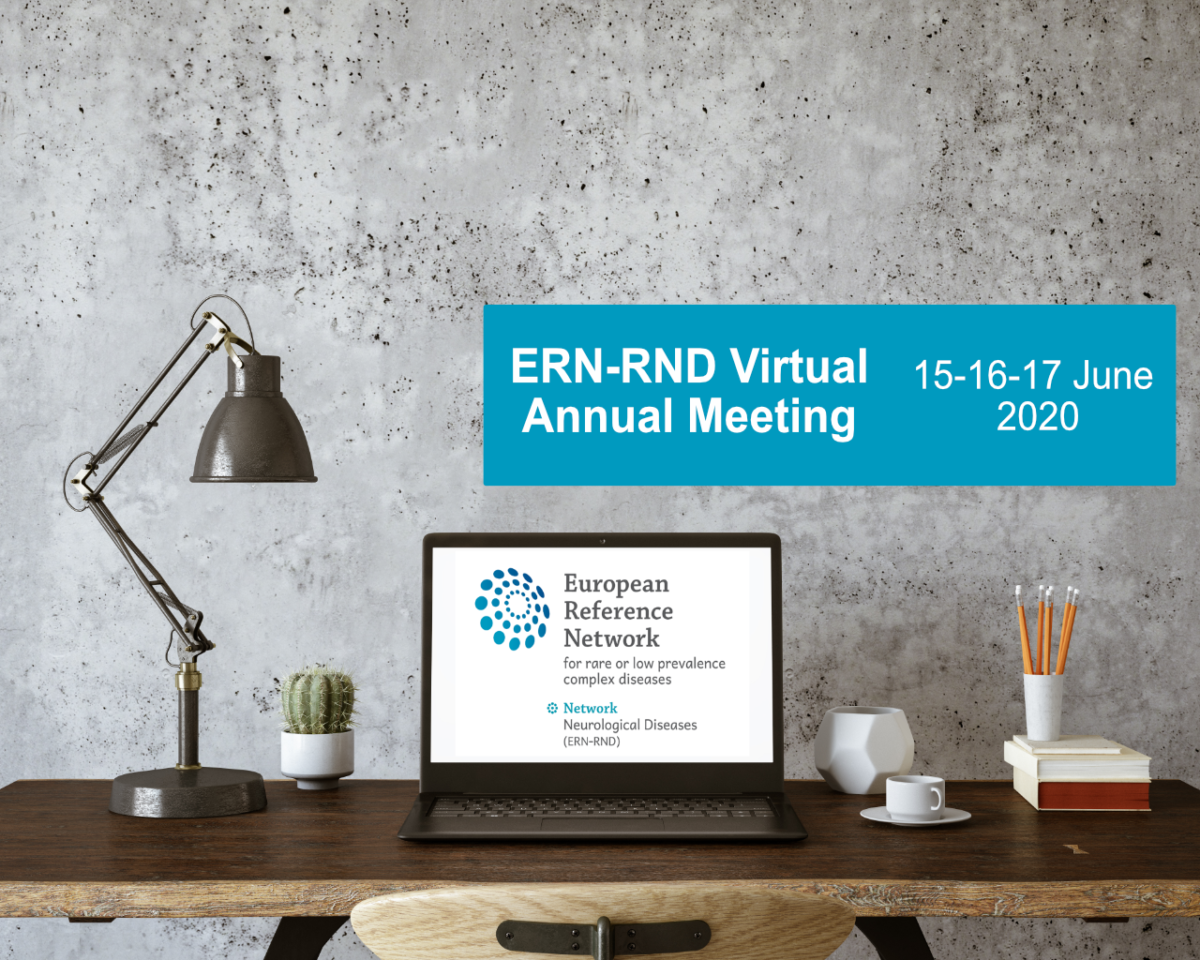 ERN-RND_Annual_meeting_2020_virtual