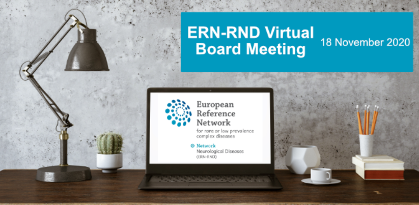 ERN-RND board meeting fall 2020