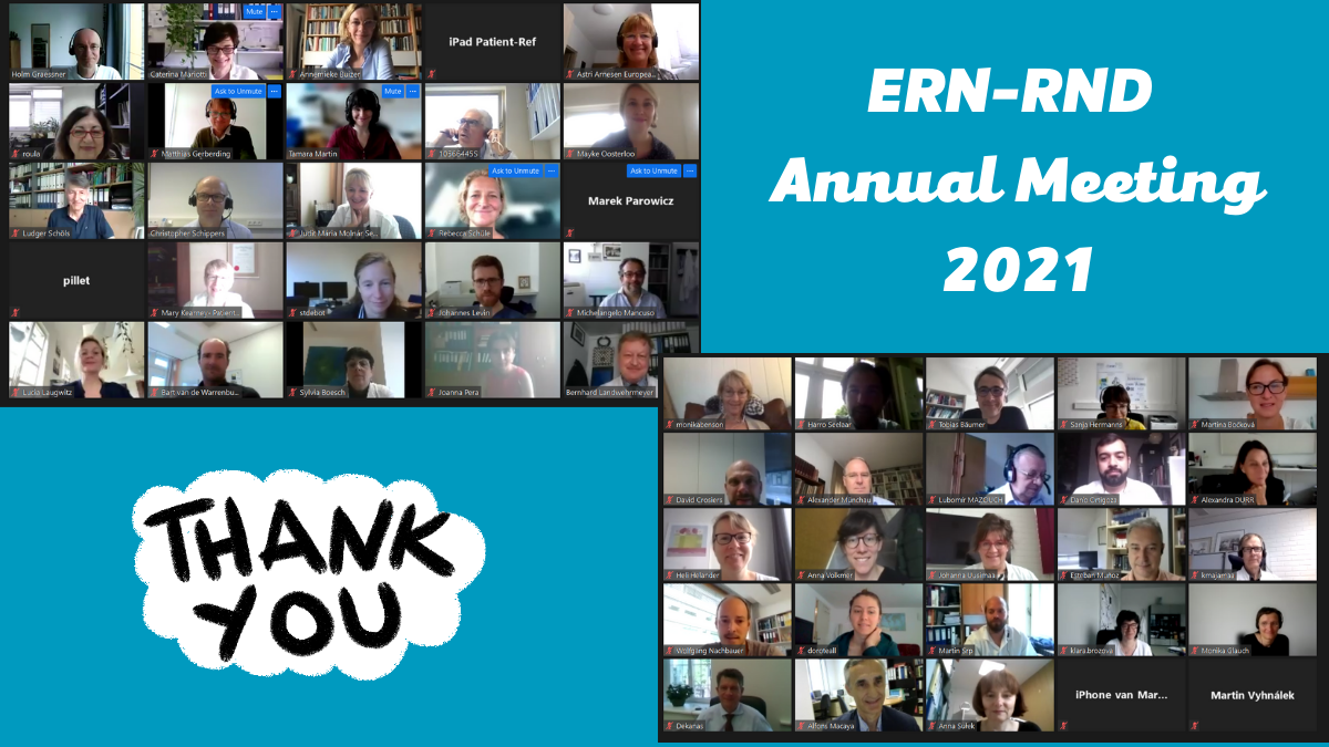Copy of ERN-RND Annual Meeting 2021_picture