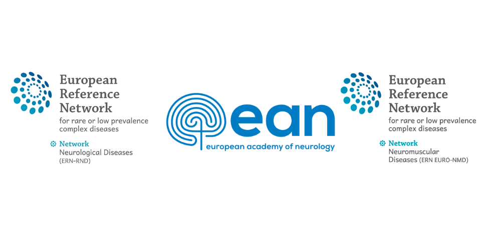 3 November 2020 | ERN-RND webinar “Non-invasive stimulation for ataxias”