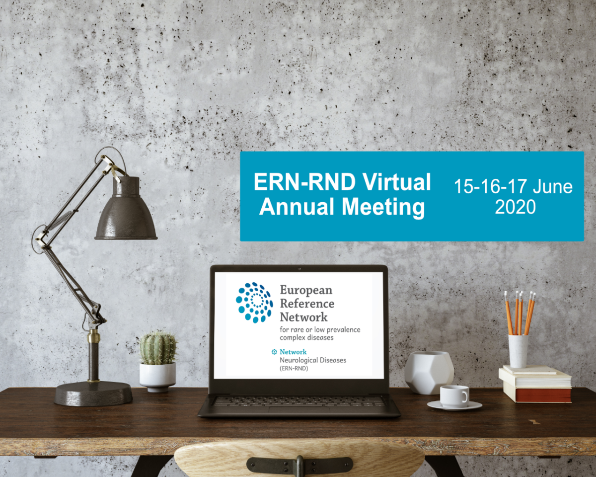 15-16-17 June 2020 | ERN-RND (virtual) Annual Meeting