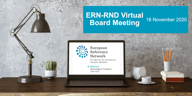 18 November 2020 | ERN-RND virtual Board Meeting (fall)