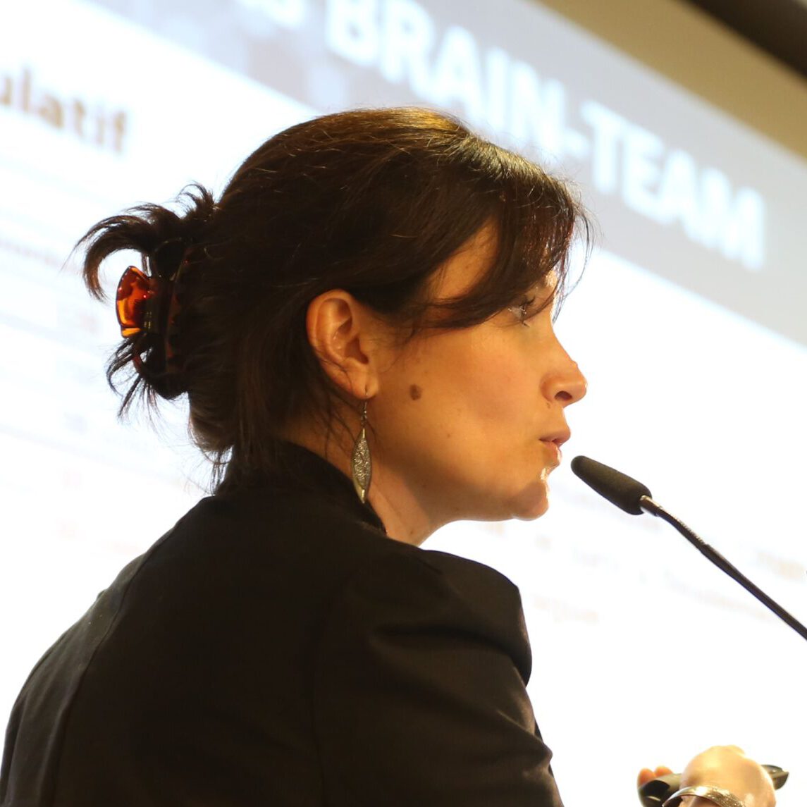Sophie Bernichtein, Brain-Team, France