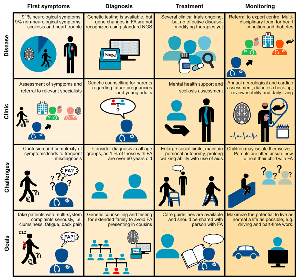 Patient journey – Friedreich’s Ataxia – ERN-RND | European Reference ...