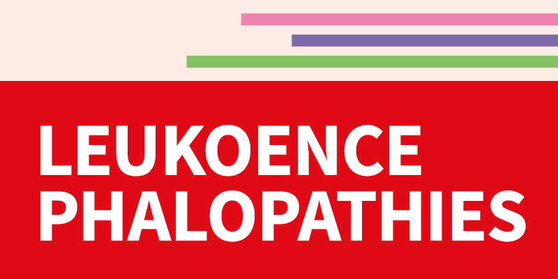 Introduction into Leukodystrophies