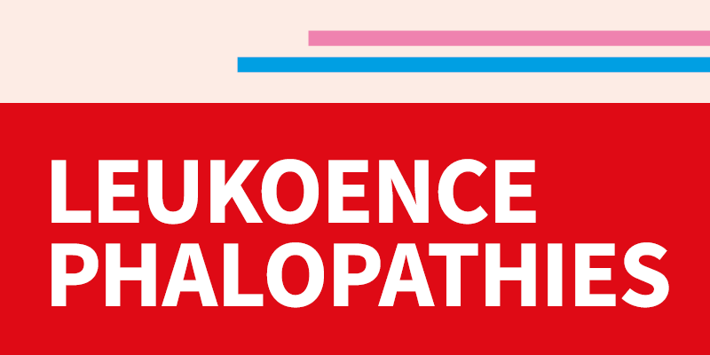 Palliative Care for Leukodystrophies and Other Rare Neurological Diseases (Pediatric Focus)