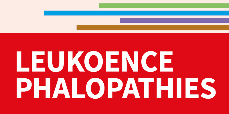 X-Linked leukodystrophies – Update